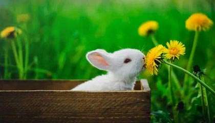 Android 项目构建maven与gradle结合使用